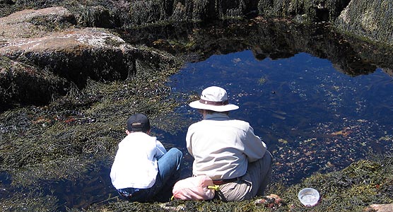 A park volunteer sits with a student at the edge of a tidepool to observe activity.