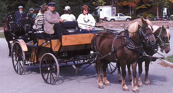 Two work horses pull a full carriage.