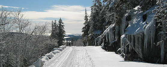 Snowy carriage road with cross-country ski tracks and skier in distance