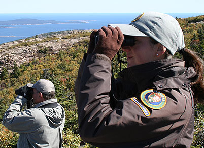 Volunteer looks out over coast with binoculars