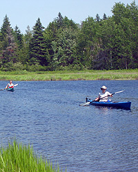 Two kayakers paddle on a calm, sunny day.