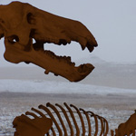 Dinohyus-in-snow