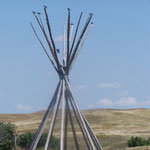 Barn Swallows using the teepee poles as gathering places