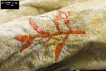 Detail of Ceremonial Shirt