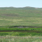 This picture was taken June 29th is of the recovering burn area.