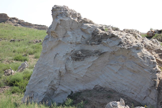 Greyish-white boulder with several triangular peaks leans to the left surrounded by prairie grass interspersed with smaller rock formations.