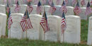 American flags in front of white headstones American flags in front of white headstones