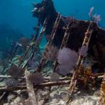 The wreck of the Mandalay in Biscayne National Park.