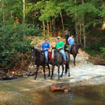 Zenith River crossing with horses