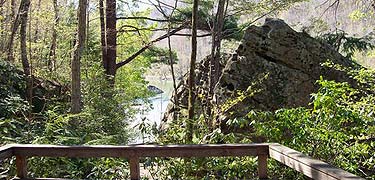 View of Big South Fork River from trail