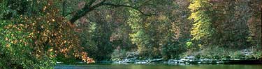 Fall colors at the mouth of Station Camp Creek