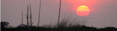 Sunset near Pea Island