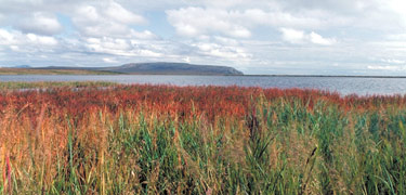 Image of the many colors the landscape has to offer