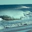 Local Surf Zone Forecast