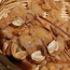 The enslaved people used brown cotton for cloth.