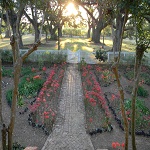 Oakland Plantation Main House Bottle Garden