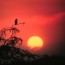 Get the latest NOAA Weather Forecast