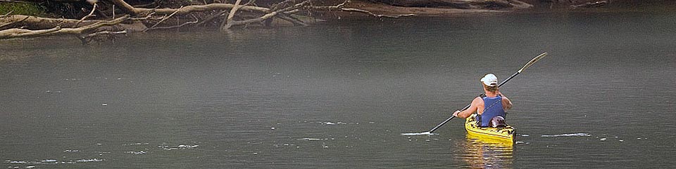 Mist rising of the river at Chattahoochee River National Recreation Area.
