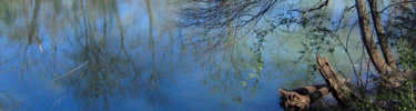 Reflections in the river at Abbotts Bridge - Photo by Matt Harr