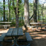 Interested in a Group Event at the Park?
