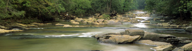 The Shoals at Sope Creek - Photo by Tom Wilson