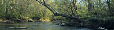 Opening of Whitewater Creek - Photo by Tom Wilson