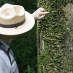 Park Ranger in Floodplain Forest