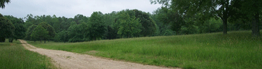 view from American 1st line of defense
