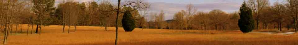 The foreground shows the battlefield in winter. Thicketty Mountain, a landmark used by both armies, is in the distance. The Green River Road, used by both armies to reach the cow pens, is on the right.