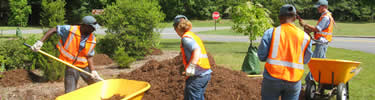 Youth Conservation Corps enrollees add mulch to flower garden.