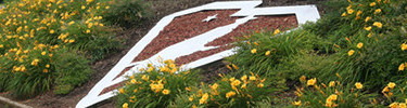 Overmountain Victory Trail Association logo with flowers on the roadbank at the intersection of SC Highways 110 and 11