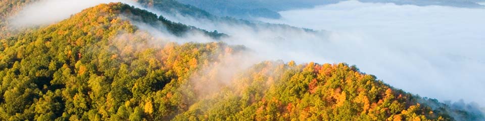 fog flows through Cumberland Gap