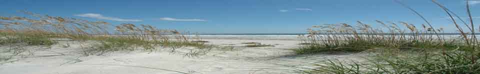 Sea Oat hold windswept dunes along Cumberland Island