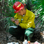 Checking the weather during a prescribed burn