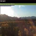 forest leading up to distant mountains under a sunny sky