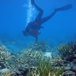 Marine habitat
