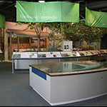 Eco Discovery Center
