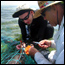 Learn about the researchers,