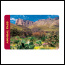 NPS Annual Passes