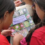 Students use plant ID card