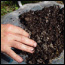 A New Study - Prehistory of Everglades