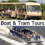 Boat and Tram Tours