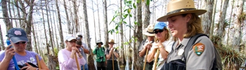 Rangers and Visitors on a slough slog