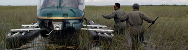 Research Crew Returning to Helicopter