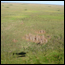 Learn about the park's approach