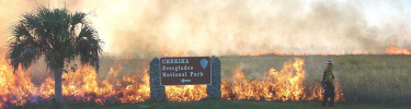 Prescribed Fire at Chekika
