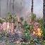 2010 Fire Management Plan Update