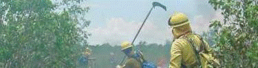 Using a flapper to control a fire.