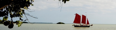 Canoes at everglades national park
