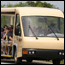 Shark Valley Tram Tours
